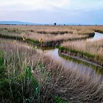 Oda ve Kahvaltı Cala Pipa 3*