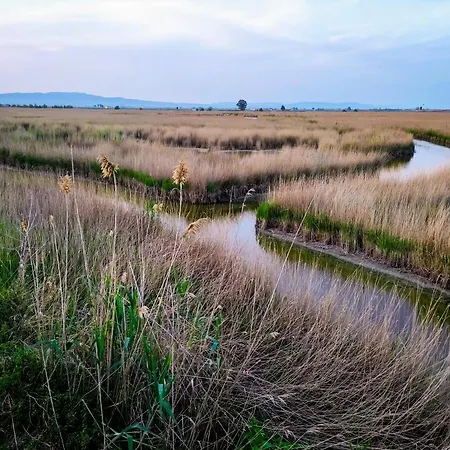 Bed and breakfast Cala Pipa 3*